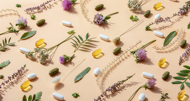 SUPPLEMENTS