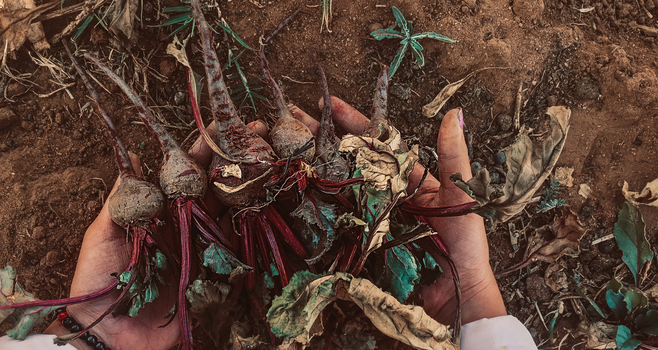 COMPOST
