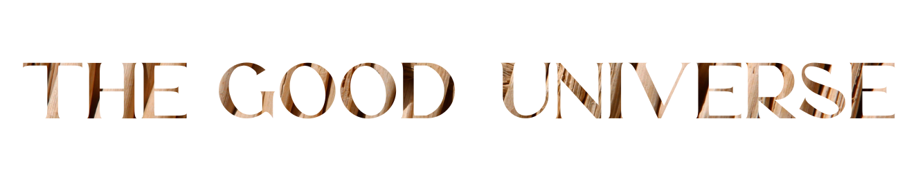 THE GOOD UNIVERSE