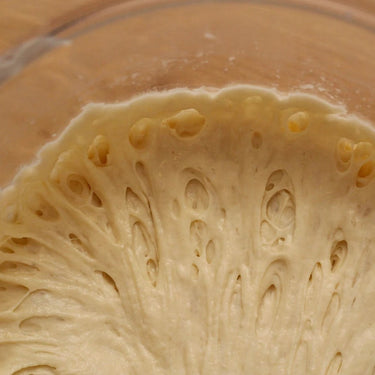 225+ Year Old French Sourdough Starter (Natural Historic Sourdough Bread Yeast) Gift