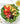 Medical Medium Brain Saver Protocols, Cleanses & Recipes: for Neurological, Autoimmune & Mental Health