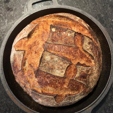 150 Year Old San Francisco Sourdough Starter-- SUPER ACTIVE! Dry Starter with Instructions. Please See Reviews!