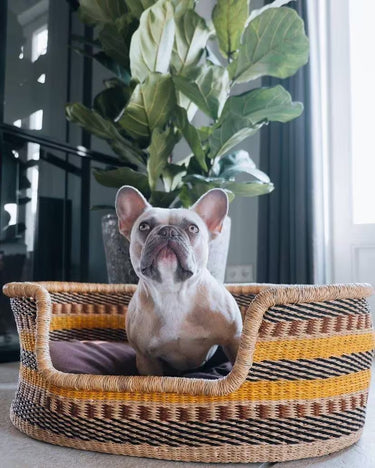 Handwoven Dog Basket, Dog Bed, Dog Furniture, Custom Dog Bed, Extra Large Dog Bed, Small Dog Bed, Puppy//Indi Dog Basket