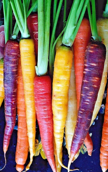 Heirloom Rainbow Carrot Mix | Heirloom | Organic