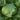 10 Pack Organic Seed Kit - Heirloom, Open Pollinated, Non GMO - Grow Indoors, Outdoors, in Pots, Grow Beds, Soil, Hydroponics & Aquaponics