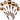 Pakkawood 7- pieces Set Kitchen Utensils