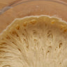 225+ Year Old French Sourdough Starter (Natural Historic Sourdough Bread Yeast) Gift