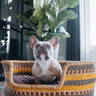 Handwoven Dog Basket, Dog Bed, Dog Furniture, Custom Dog Bed, Extra Large Dog Bed, Small Dog Bed, Puppy//Indi Dog Basket