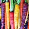 Heirloom Rainbow Carrot Mix | Heirloom | Organic