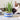 Organic Cat Grass Growing Kit | Healthy Treat | Pet Grass | Organic Wheatgrass - Blue Celestial Design