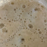 1000 Years Old Italy Sourdough Starter